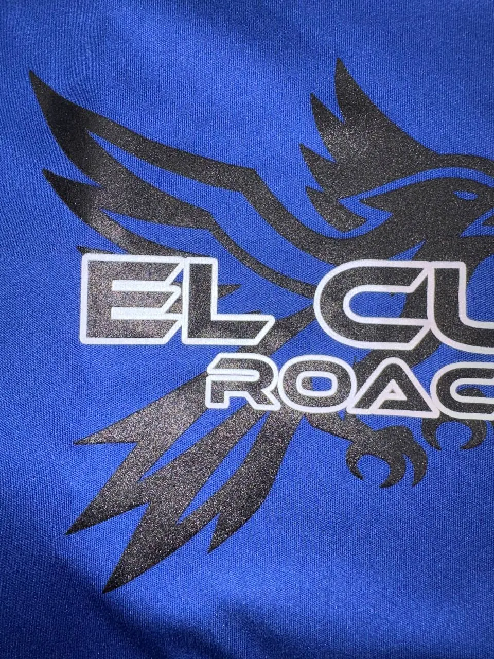 Close-up of cured plastisol ink on an El Cuervo blue shirt